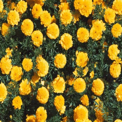 Nature086 main texture preview