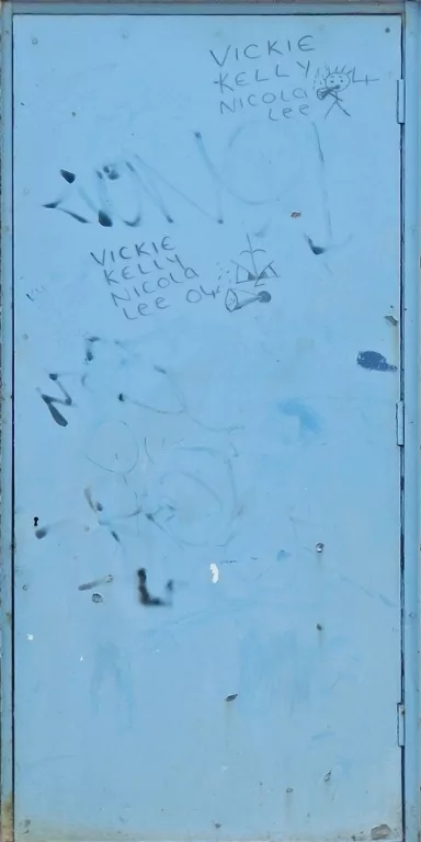 Door Wood Blue6 main texture preview