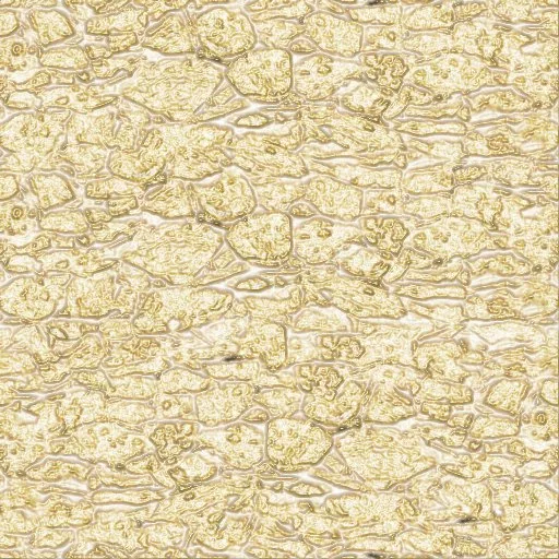 Castle Golden Rock Wall main texture preview