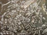 S S Bubbly main texture preview