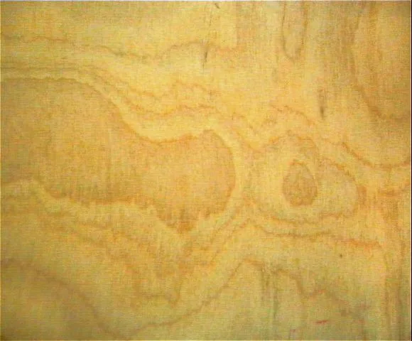 Plywood2 main texture preview