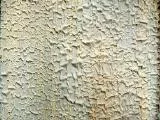 S S Pelpaint main texture preview