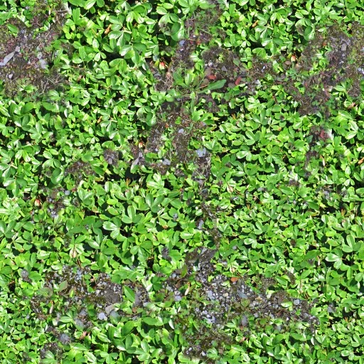 Weeds And Gravel main texture preview