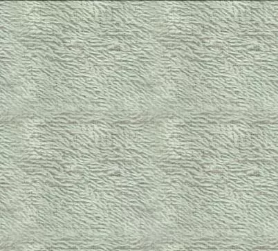 Terry T main texture preview