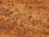 S S Wood08L main texture preview