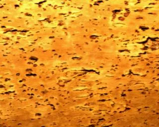 Sughero main texture preview