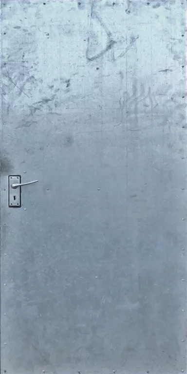 Door Steel Shiny main texture preview
