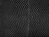 S S D35 Lizard Skin main texture preview
