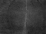 S S D36 Lizard Skin main texture preview