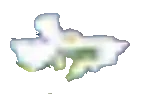 Apple Blossom texture preview