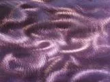 S S Brushal main texture preview