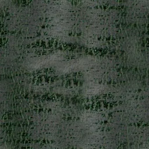 017Bois main texture preview