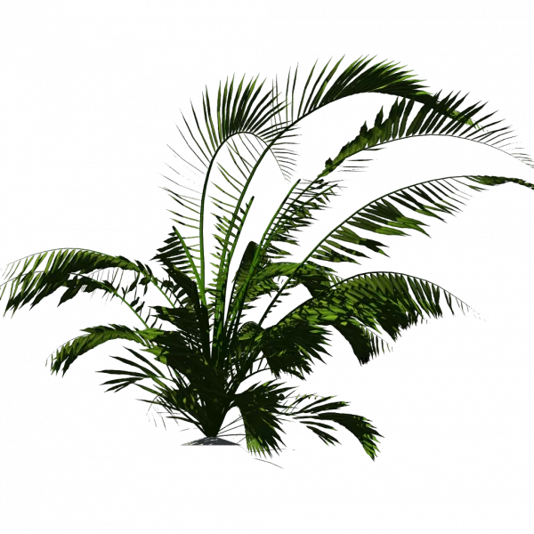 Cc By Tuxfamily Org Howea main texture preview