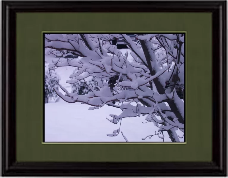 Winter House Art Snowy Picture4 main texture preview