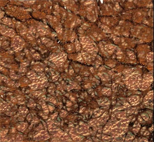 Gross main texture preview