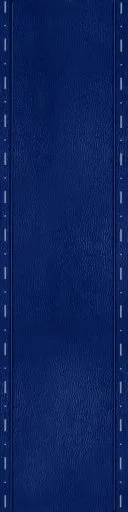 Dark Blue Leather Strap 3 main texture preview