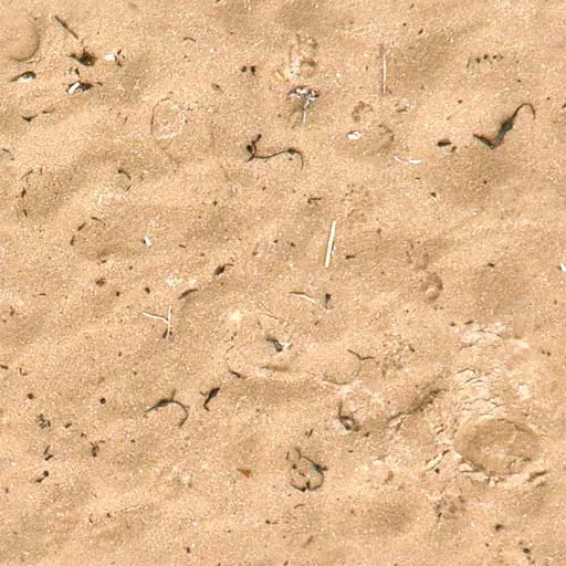 Sand 002 main texture preview