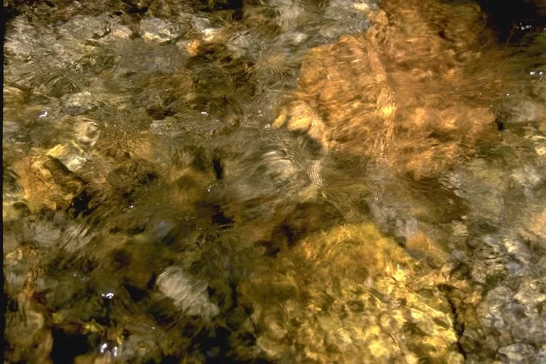I M G0061 main texture preview