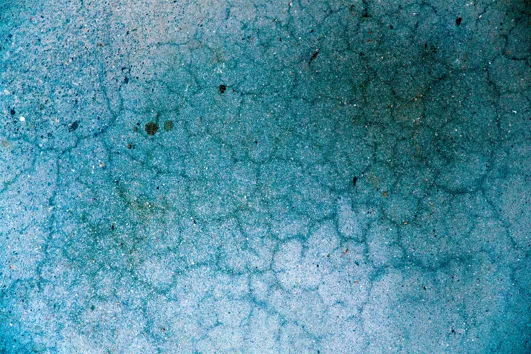 119 main texture preview