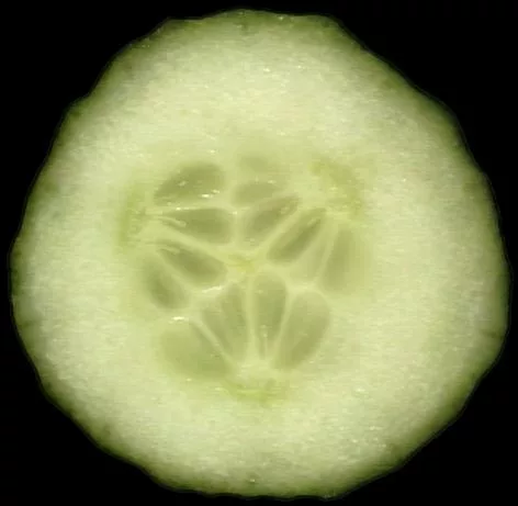 Cuke2 main texture preview