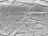 S S Plasterg main texture preview