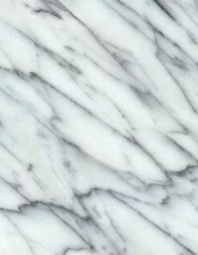 Whtcarr main texture preview