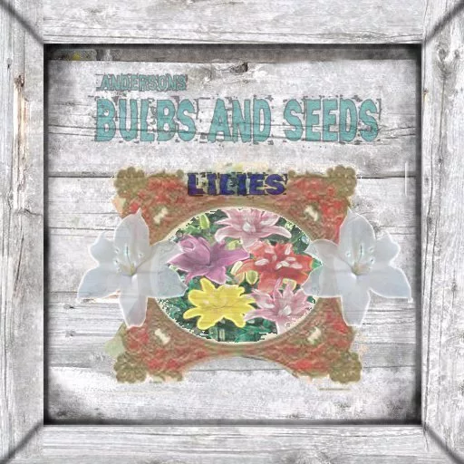 Bt Shabbychic Crate Lilies main texture preview