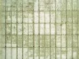 S S Wall1 T main texture preview
