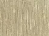 S S Buff4 main texture preview