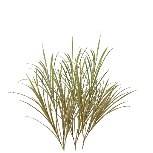 3Td Africa Grass02 main texture preview