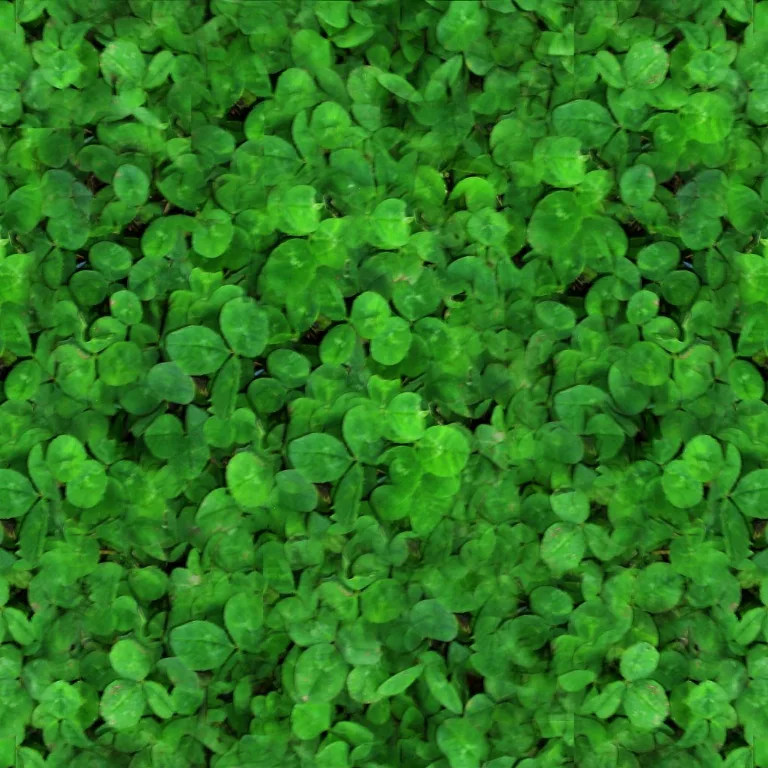 English Garden Hedge Texture texture preview