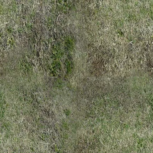 Nature072 main texture preview