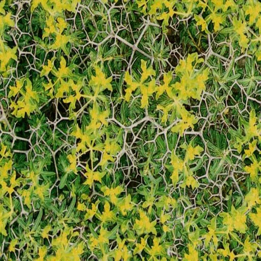 Nature092 main texture preview