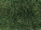 S S Weed T main texture preview