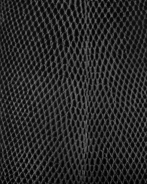 D35 Lizard Skin main texture preview