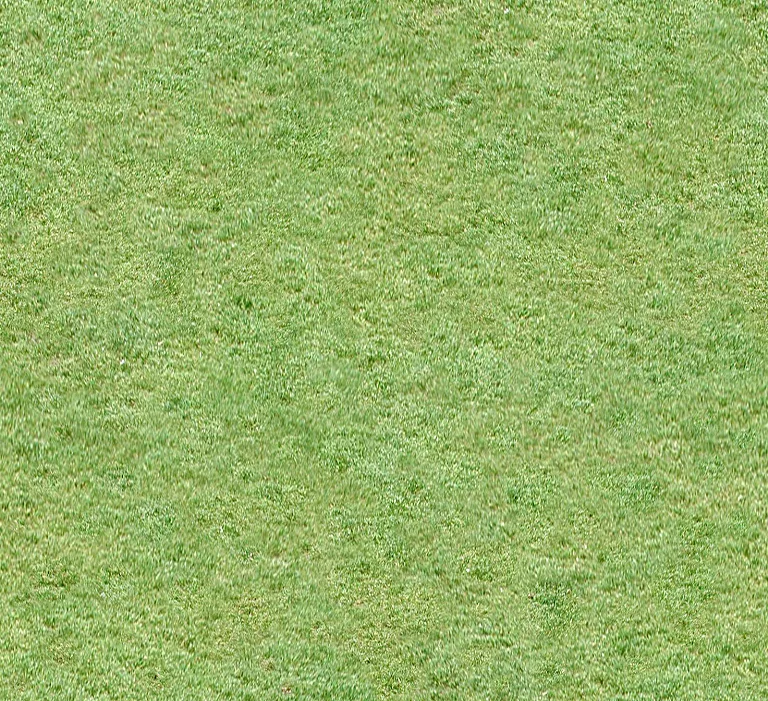 Grass3 Cyc main texture preview