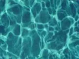 S S Waterpl main texture preview