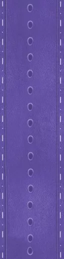 Purple Leather Strap 4V01 main texture preview