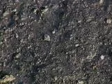 S S Rroad1 main texture preview