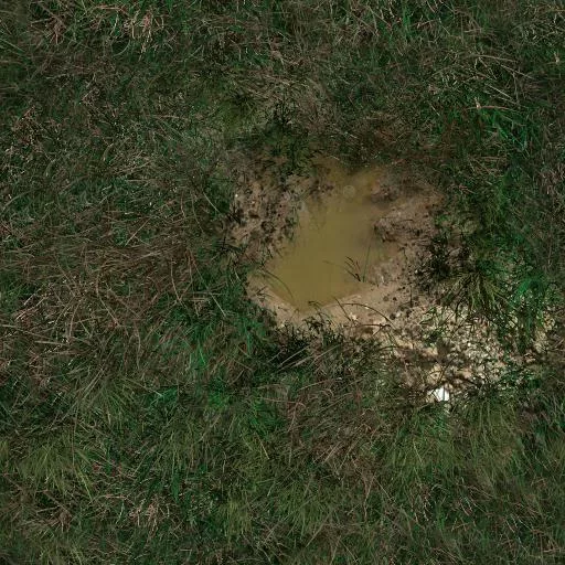 Herbe 10 main texture preview