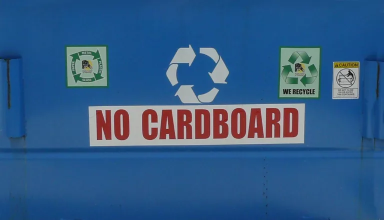 Dumpster Recycle Front Clean main texture preview