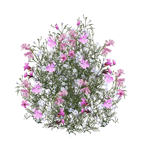 Pink Delicate Flowers texture preview