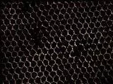 S S Honycomb main texture preview