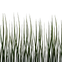 Grass Blades In A Line main texture preview