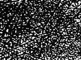 S S Branchy main texture preview