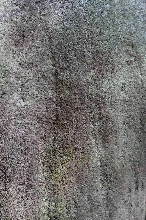 Img 0276 main texture preview