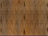 S S Bench5 main texture preview