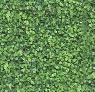 Hedge main texture preview