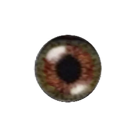 Eye Sage main texture preview