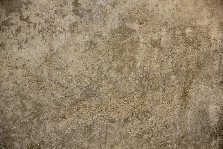 56 main texture preview